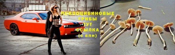 бутират Мегион