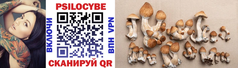купить   Армавир  Псилоцибиновые грибы Cubensis 
