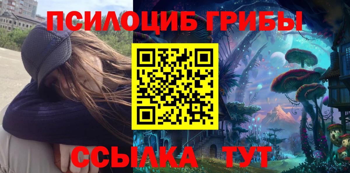 Галлюциногенные грибы прущие грибы Армавир