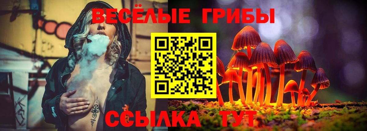 Псилоцибиновые грибы Magic Shrooms Армавир