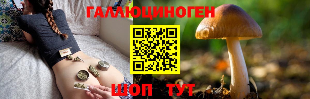 Псилоцибиновые грибы мухоморы  Псилоцибиновые грибы Magic Shrooms  Армавир 